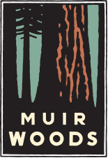 your parks-muir woods