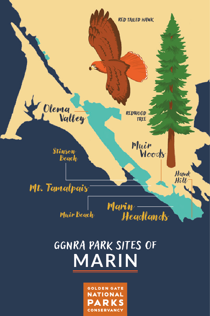 Illustrated postcard: GGNRA Park Sites of Marin