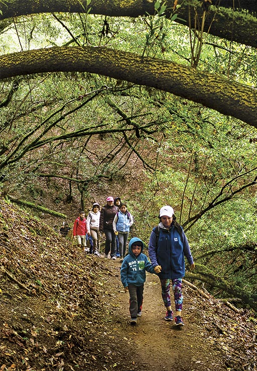 One Tam hike through Muir Woods with Latino Outdoors
