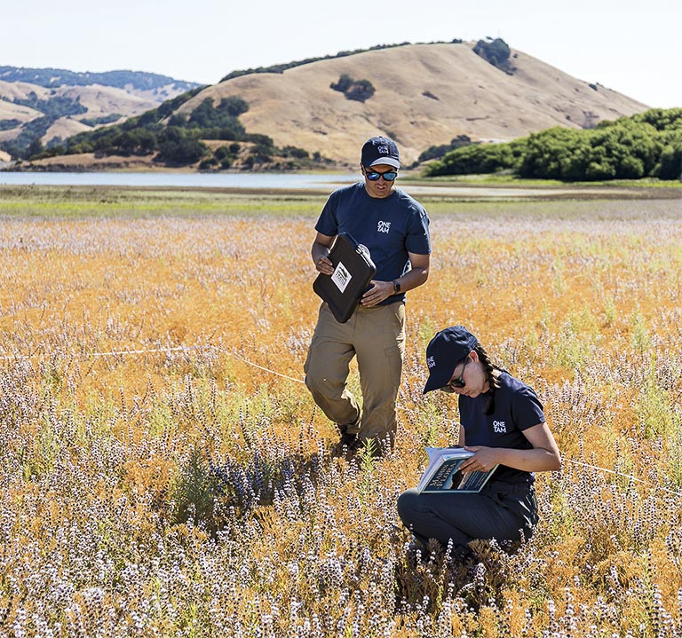 ONE TAM staff in the field for vegetation mapping
