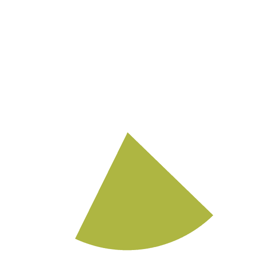 20%