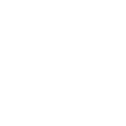 17% – Youth & Community Programs