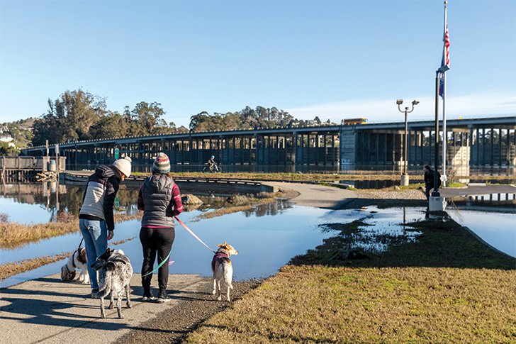 Walkers encounter high tide along the trail pathway at Bothin Marsh. Photo by Kelly Sullivan.