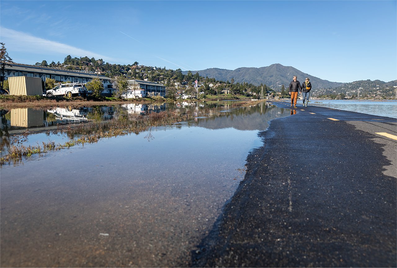 Bothin Marsh (photo by Kelly Sullivan)