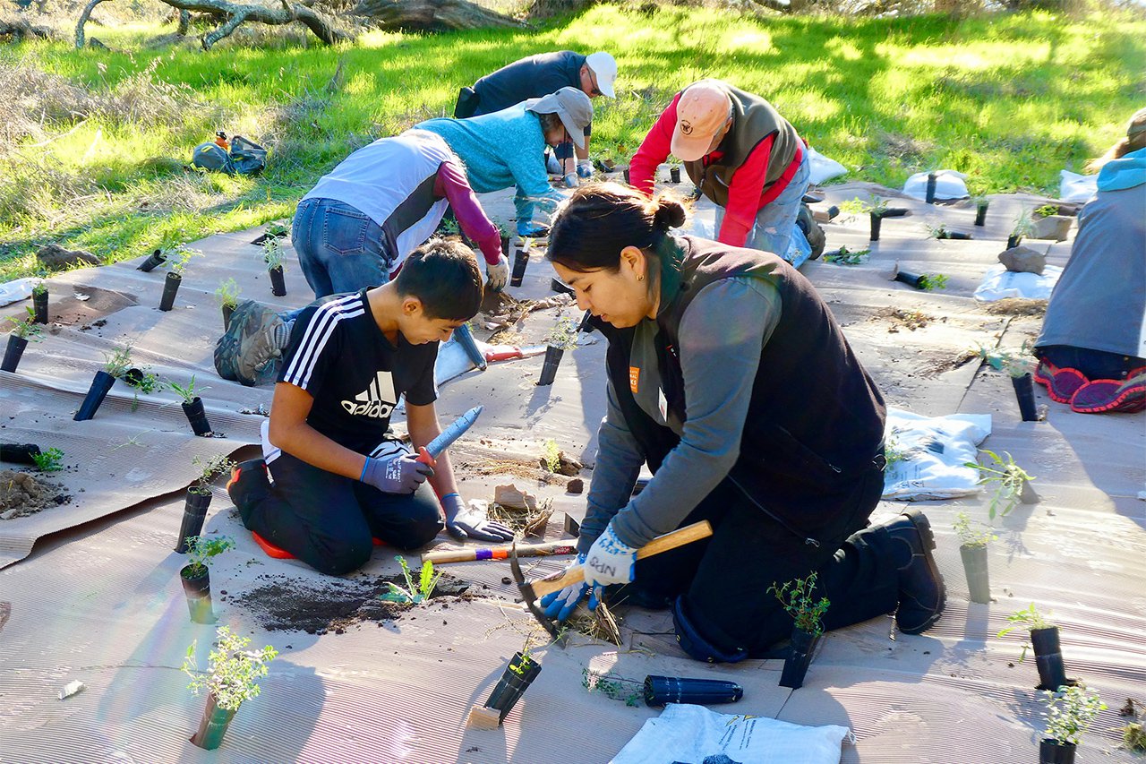 Volunteers sit on a mat and plant seedlings on Monarch Volunteer Day at Marin's Mount Burdell. Photo by Karen Offereins.